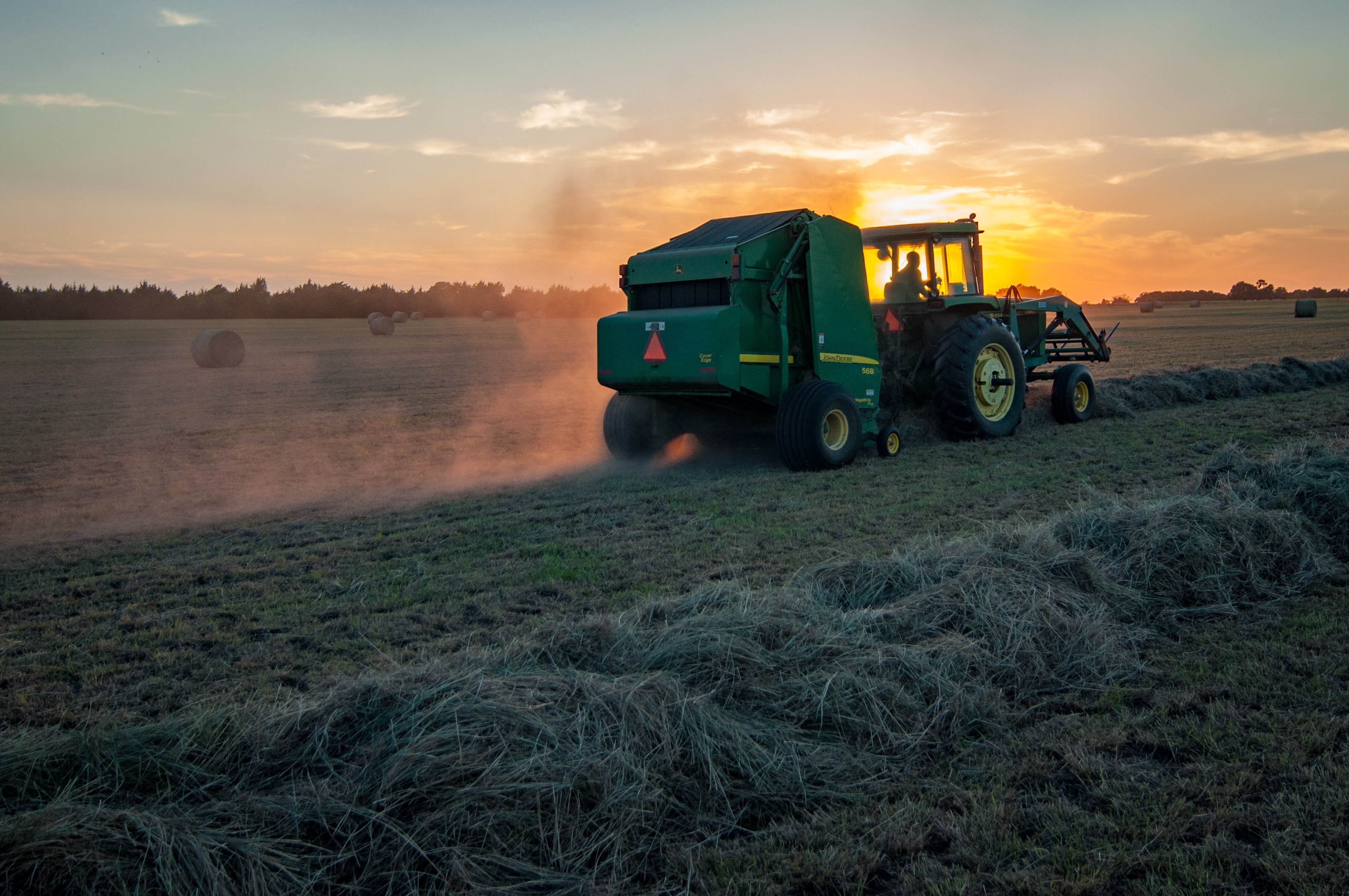 Master of Advanced Studies in Integrated Crop Management